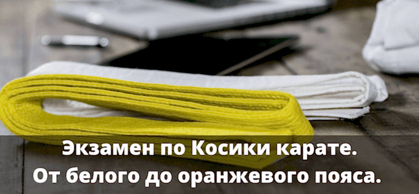 экзамен на пояса по карате