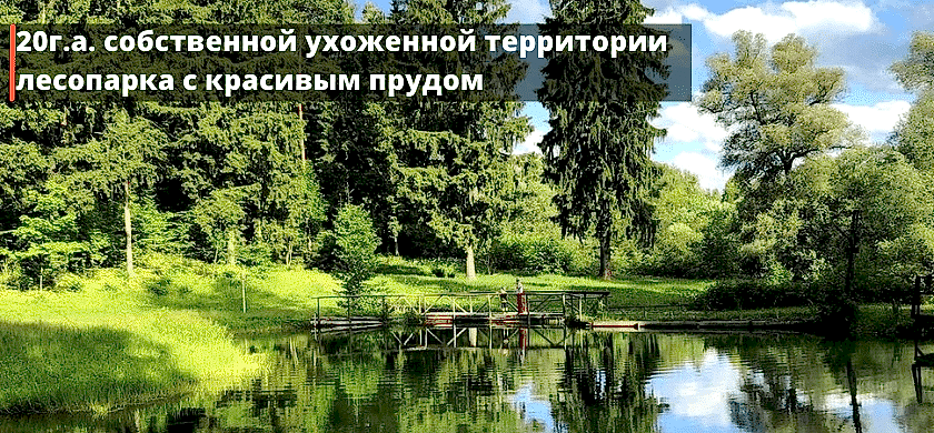 спортивные сборы 2022
