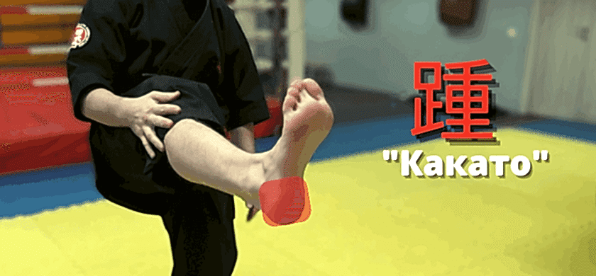 какато набивка ног в карате удар пяткой
