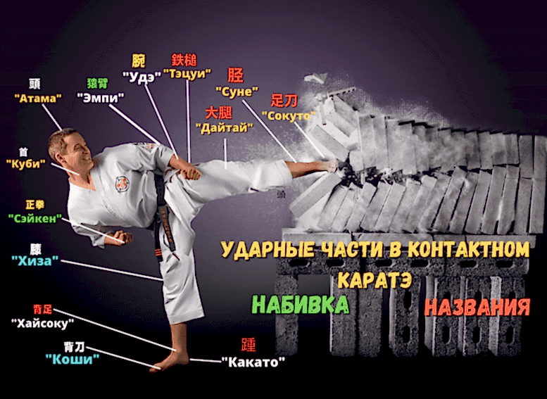 Ударные части ног и рук в карате