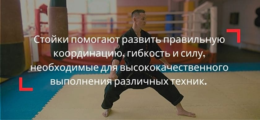 самостоятельные тренировки по карате лаврентьев денис