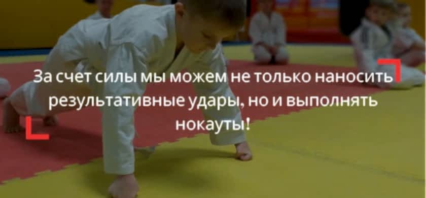 тренировки онлайн online карате в домашних условиях офп для новичков